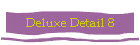 Deluxe Detail 8